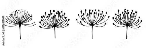 Dandelion dandelion botanical fluffy flower silhouettes. vector flat illustration set. Dandelion seeds plants silhouettes