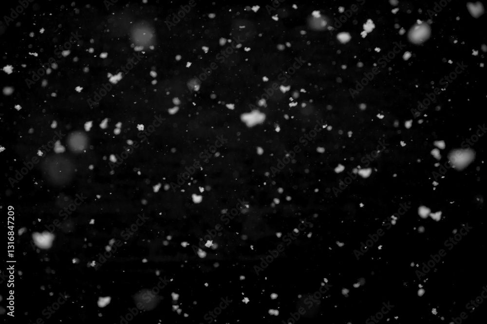 Obraz premium Texture of natural falling snow on black background.