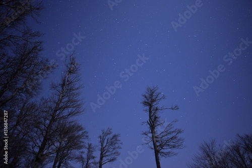 Eingebettet im Sternenhimmel