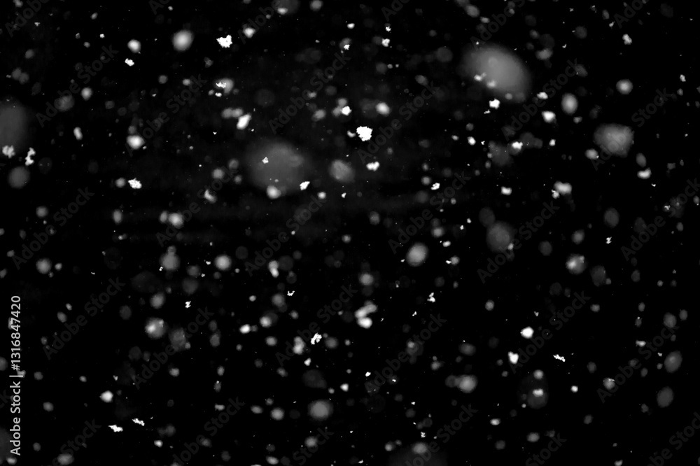 Fototapeta premium Texture of natural falling snow on black background.
