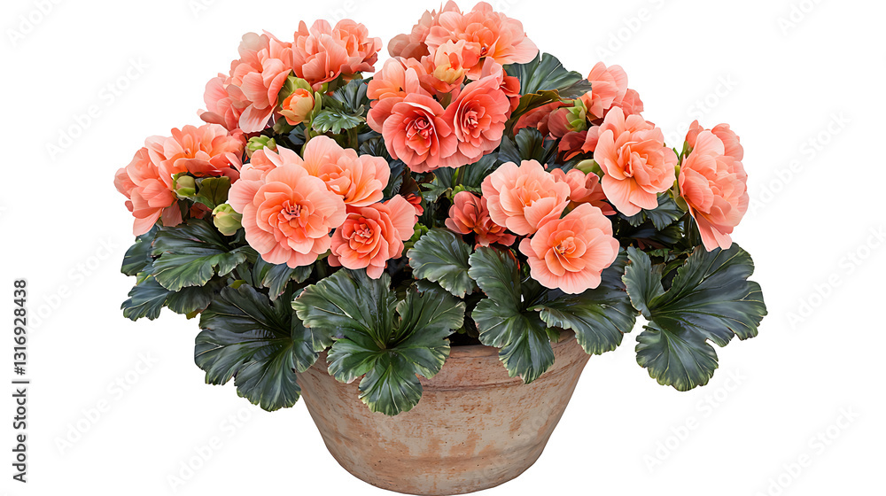 Obraz premium A large pink flower pot with pink flowers in it