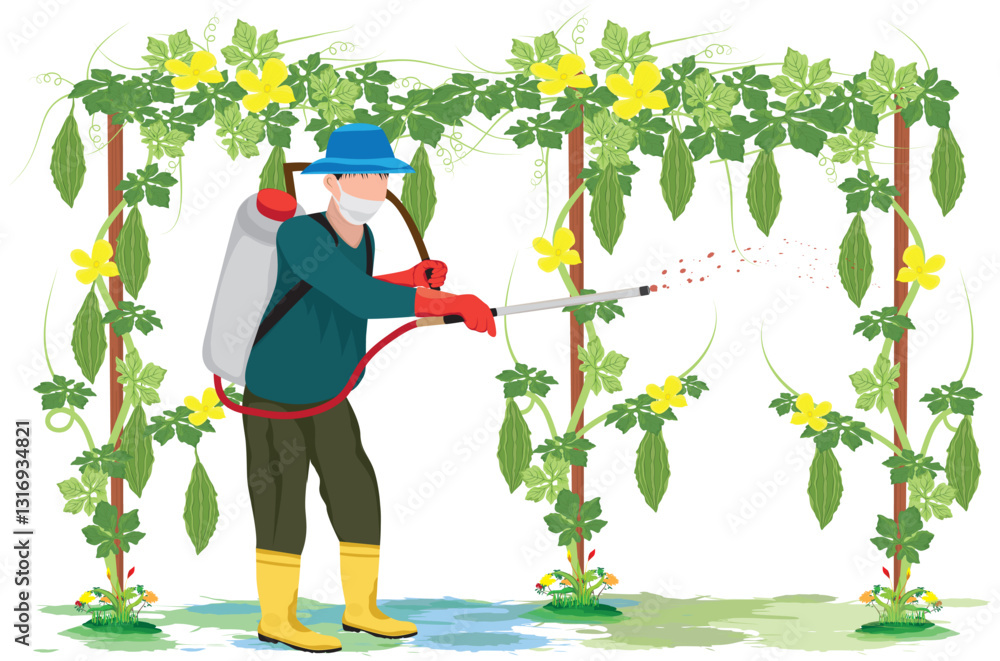 agriculturist spray into bitter melon plant vector design