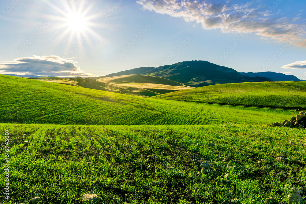 Scenic view at beautiful spring sunset in a green shiny field with green grass and golden sun rays, deep blue cloudy sky on a background , forest and country road, summer valley landscape Scenic view at beautiful spring sunset in a green shiny field with green grass and golden sun rays, deep blue cloudy sky on a background , forest and country road, summer valley landscape