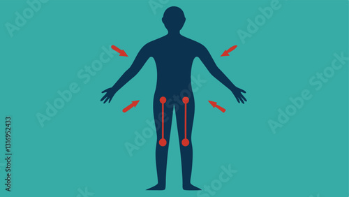 Silhouette of Firm Skin A silhouette of a person with highlighted areas on arms and legs showing before and after effects of using the lotion with an overlay of arrows indicating