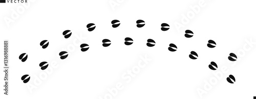 Holstein cow footprints