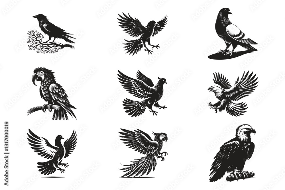 Obraz premium Black and White Bird Vector Illustration | Flying & Perched Birds 
