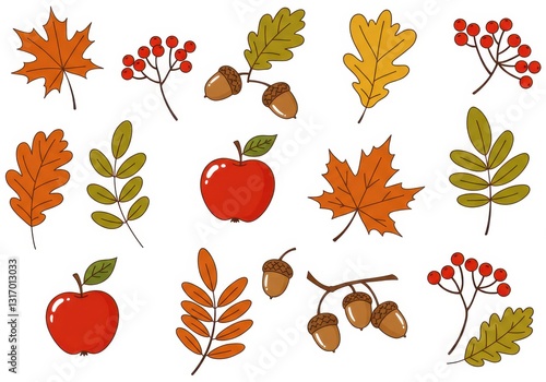 Autumn leaves, colorful foliage, hand-drawn style, botanical illustration, red apple, acorns, berries, maple leaf, oak leaf, fall colors, orange, yellow
