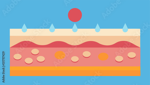 Skin Layers A crosssection of the skin with layers labeled to show where the nanoparticles act and the resultant lifting effect on the outer layer.