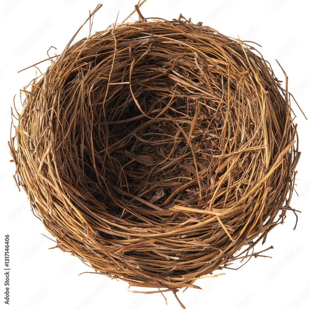 Obraz premium Empty Bird Nest. A Symbol Of Spring, Life And New Beginnings. Isolated.