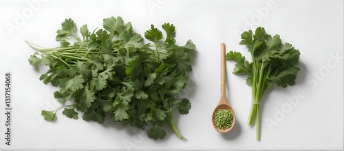 Obraz na płótnie Fresh green vitamin parsley leaves. Herbs and spices. Top view flat lay w salonie