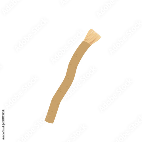 Illustration of a siwak toothbrush 