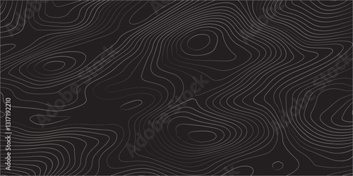 Seamless Topographic Map Design Showcasing Elevation Contours, Geographic Relief, and Fluid Abstract Line Patterns for Mapping Enthusiasts