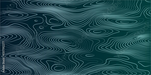  Seamless Topographic Map Design Showcasing Elevation Contours, Geographic Relief, and Fluid Abstract Line Patterns for Mapping Enthusiasts