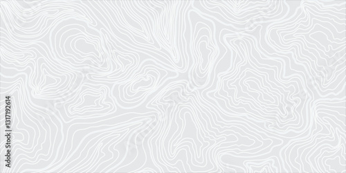 Intricate Geographic Mountain Relief Contour Mapping with Seamless Abstract Topographic Lines for Modern Cartographic Applications