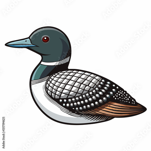vector illustration of a common loon
