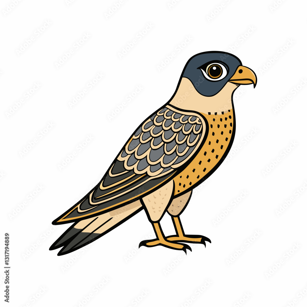 common nighthawk on white background common nighthawk on white background