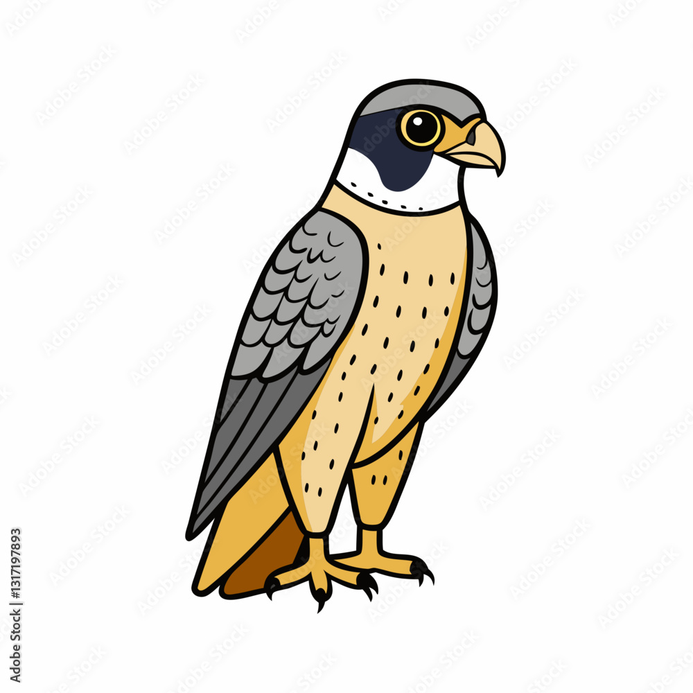 bird on a branch peregrine falcon bird on a branch peregrine falcon