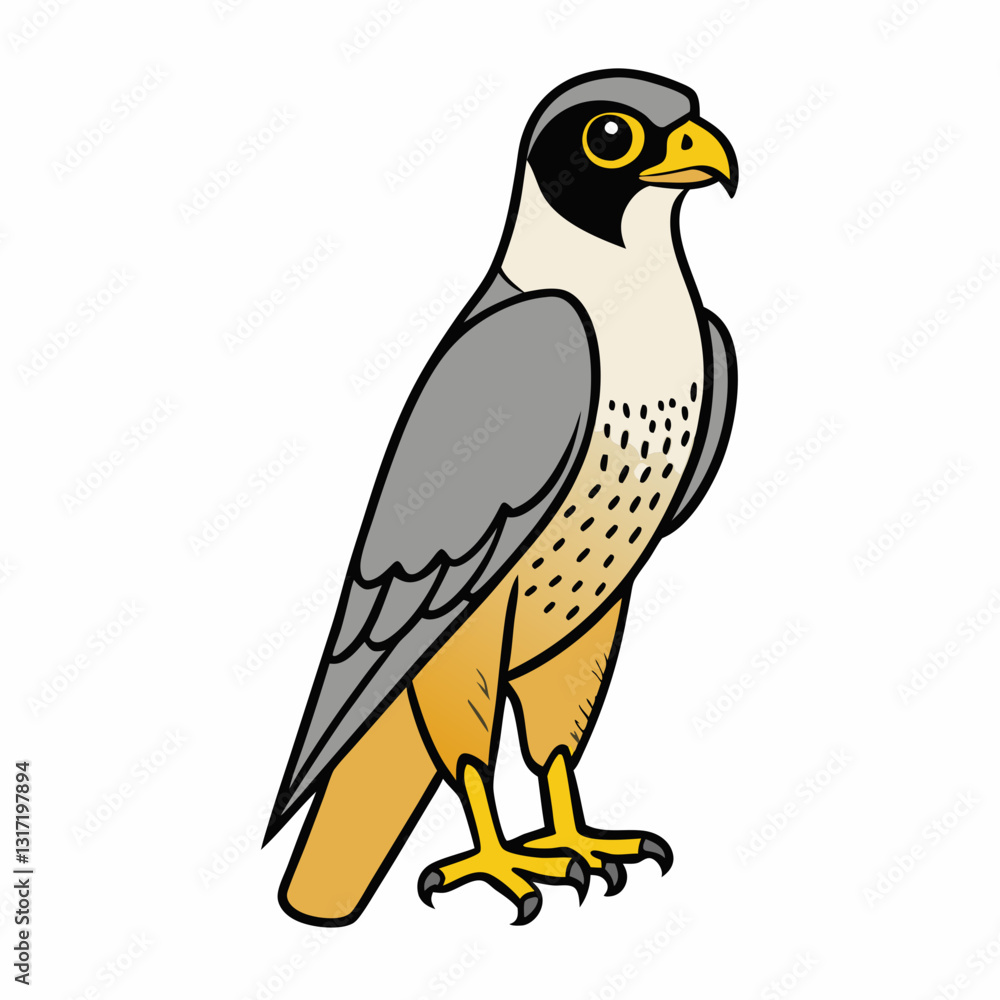 bird on a branch peregrine falcon bird on a branch peregrine falcon