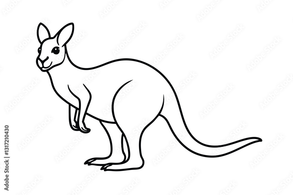 kangaroo vector illustration kangaroo vector illustration