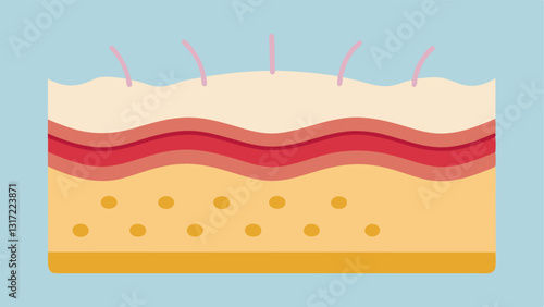 Skin CrossSection A simplified crosssection of the skin showing the dermis filled with collagen fibers and the layers above indicating where microneedling affects skin texture.