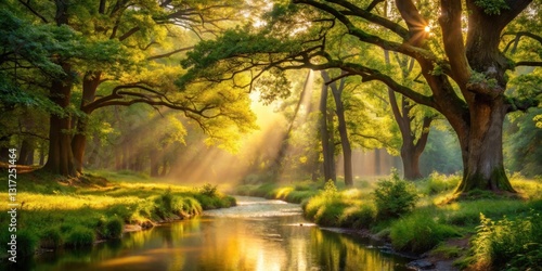 A Serene Forest Scene with Sunlight Streaking Through the Canopy, Illuminating the Winding River and Lush Green Grass