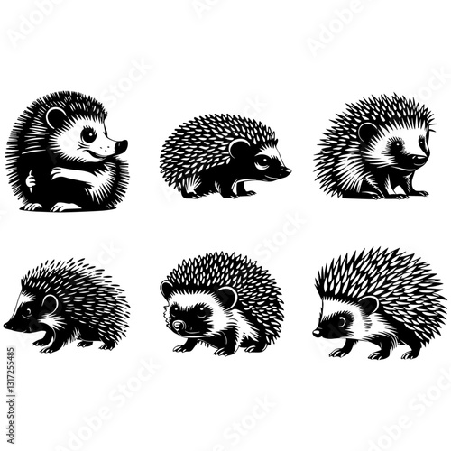 Cute hedgehog Illustrations