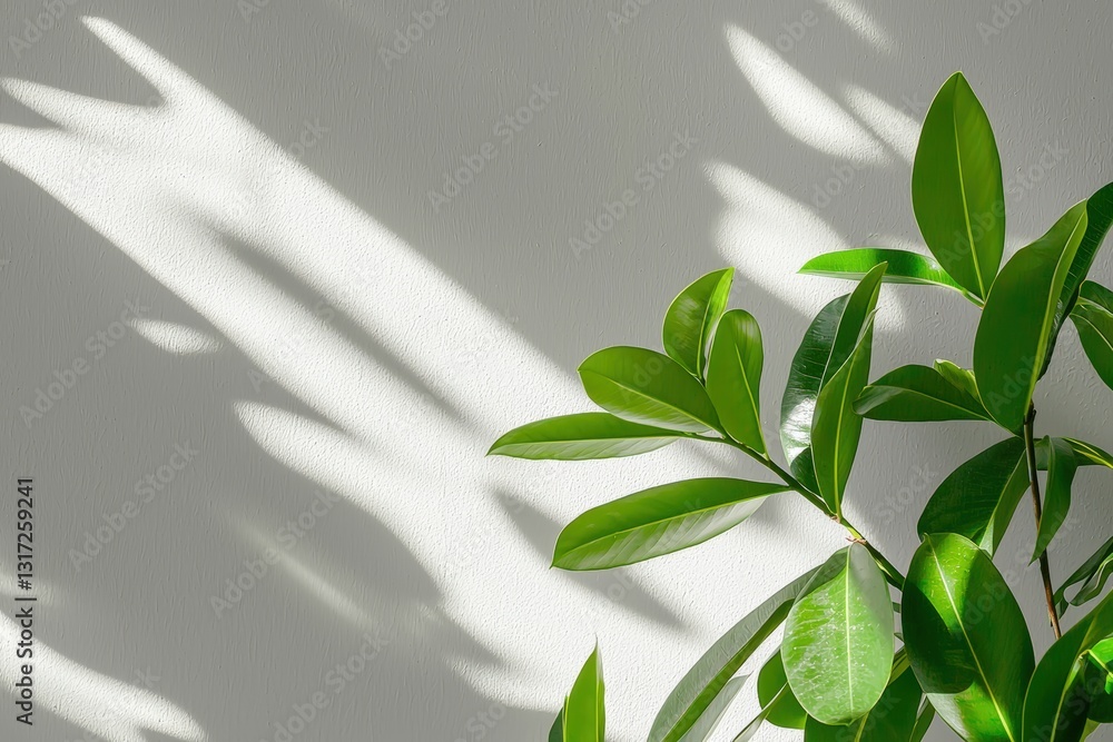 Fototapeta premium Soft Green Plant Leaves Casting Gentle Shadows on a Light Textured Background