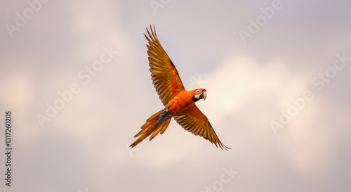 Orange Macaw in Flight Against Cloudy Sky - A vibrant orange macaw soars gracefully through a soft, cloudy sky, symbolizing freedom, beauty, adventure, exoticism, and the wild