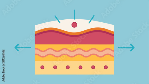 Skin Layer Diagram An anatomical style illustration of skin layers with arrows depicting the flow of exosomes from underneath the dermis to the upper epidermis.