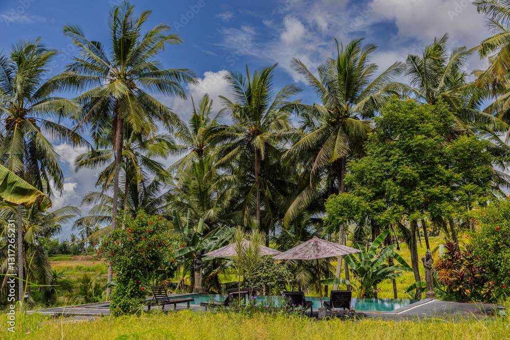 Obraz premium terraced Rice fields Farms in Ubud the Balanese island known as the land of the gods on the beautiful Island of Bali Indonesia 