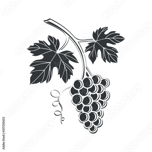 black and white grapes vector silhouette illustration