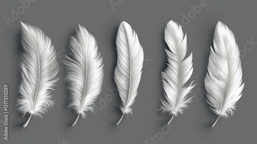 A set of white feathers on a gray background