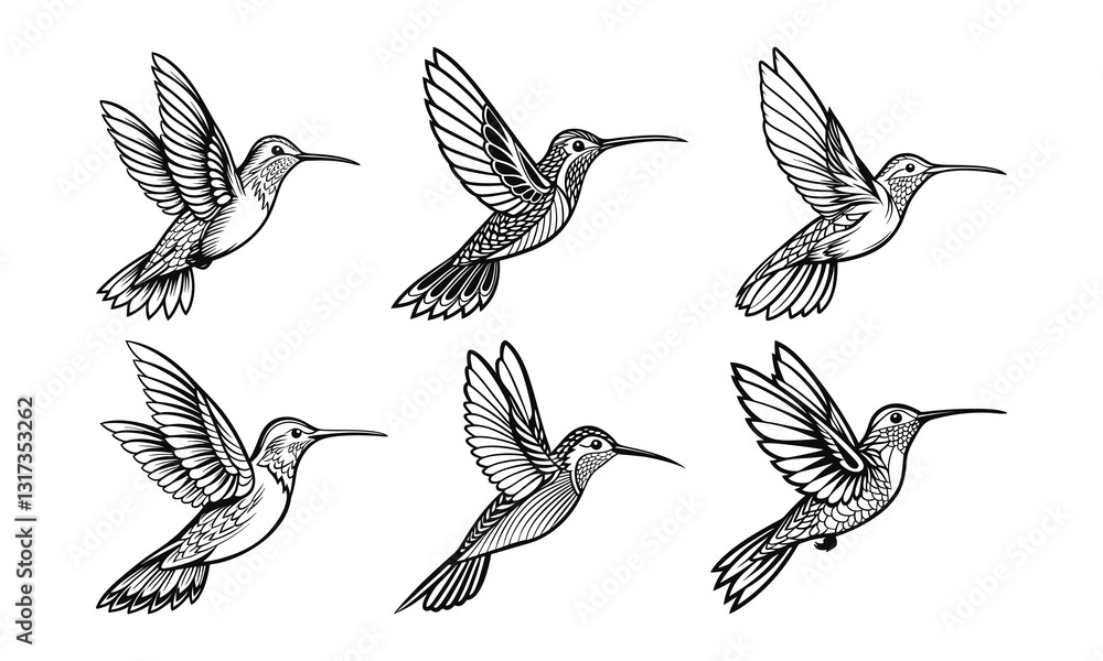 Obraz premium Set of silhouettes of hummingbird vector illustration, detailed vector, black and white, monochrome design, minimalist design, isolated on a white background