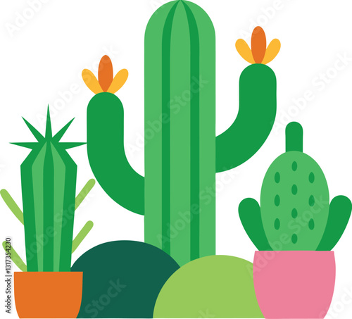 Cactus and succulent vector illustration