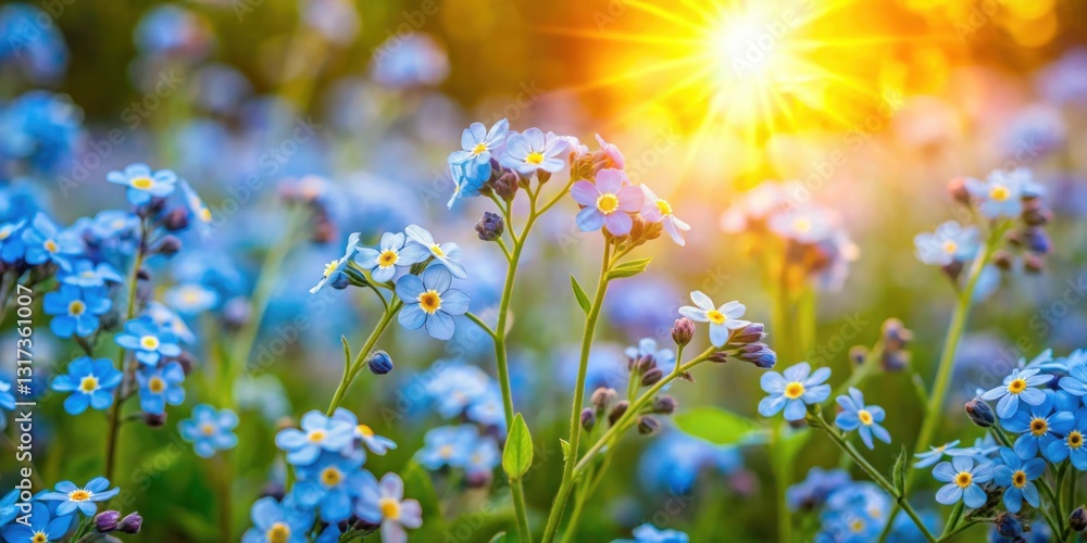 Fototapeta premium A vibrant field of blue forget-me-not flowers bathed in the warm glow of the setting sun.