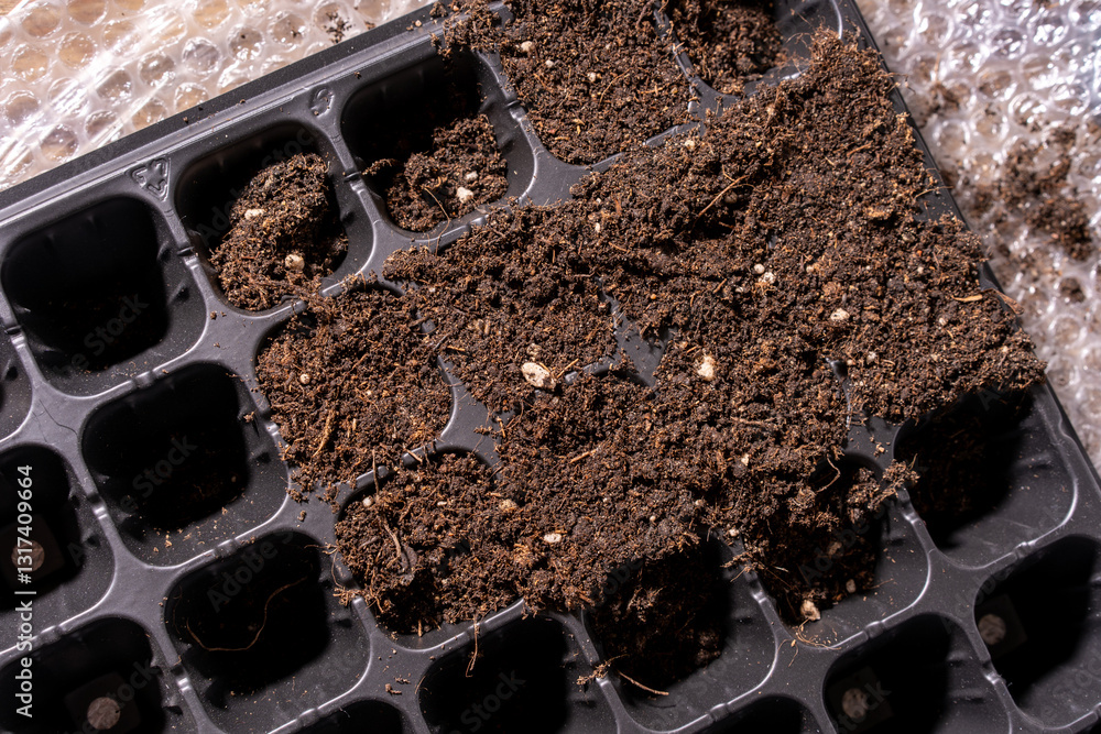 A black seed tray with soil and white particles like perlite. Perfect for seed propagation, gardening, and small-scale agriculture