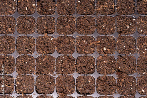 Obraz na płótnie A seedling tray with square compartments filled with soil. The soil includes organic matter and white particles, ideal for starting seeds or propagating small plants in gardening or agriculture. w salonie