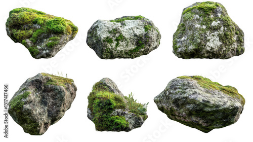 Natural Mossy Rocks Collection for Nature and Landscape Projects