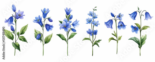 Flat bellflower icons set: linear floral design with blue blooms.