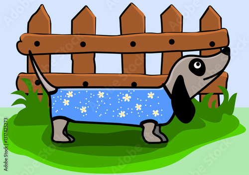 Dog in a garden