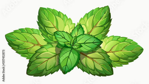 Fresh mint leaves pattern isolated on white background, top view. Close up of peppermint.