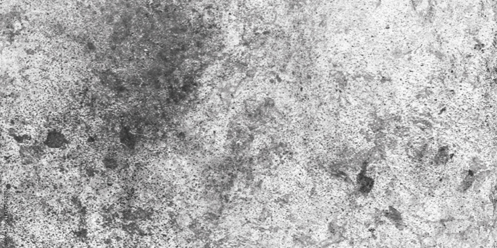Fototapeta premium Cement Wall Grunge Background in Black and White. Old Scratched and Dirty Texture for Graphic Design. Grunge. Vector.