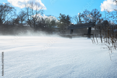 Snowy Bench in Park