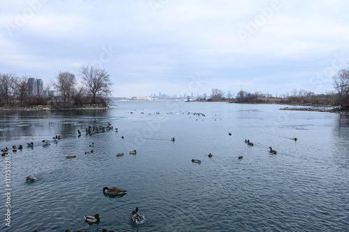 Icy shoreline Toronto skyline