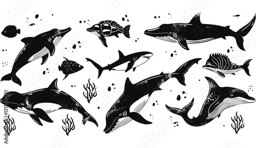 Wild sea mammal silhouette, vector grunge whale print, hand drawn underwater shark, coral, stingray, ocean animal illustration, marine life woodcut stamp, oceanic retro style