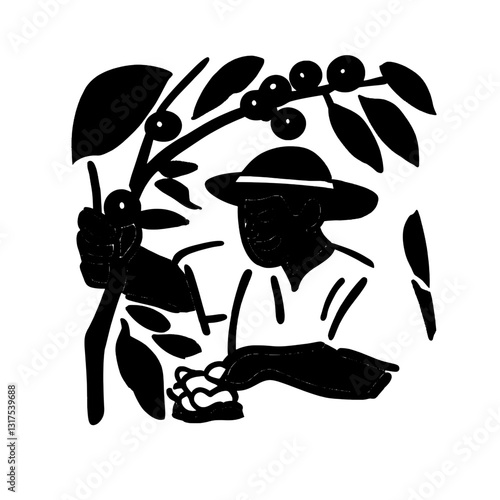 Harvesting coffee beans in a lush plantation during a bright and sunny afternoon