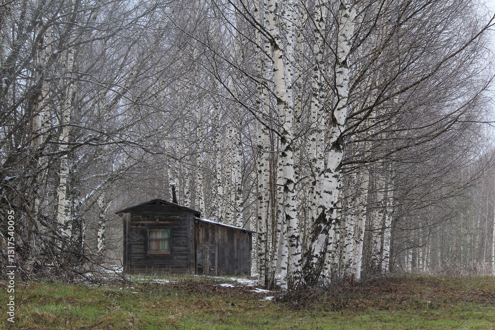 Fototapeta premium hunters' lodge in the spring forest