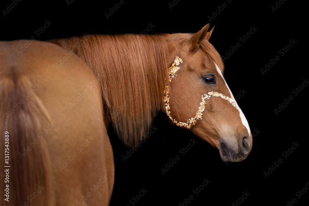 Fototapeta premium golden horse