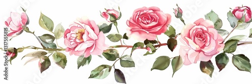 Watercolor Painting of Pink Roses with Green Leaves on a White Background