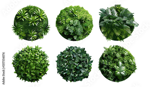 Vector set of round garden wall panels, tropical plants, green garden decor, wall panels, tropical foliage, lush garden wall design, modern garden style, eco-friendly greenery